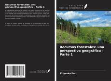 Recursos forestales: una perspectiva geográfica - Parte 1 kitap kapağı