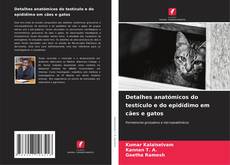 Buchcover von Detalhes anatómicos do testículo e do epidídimo em cães e gatos