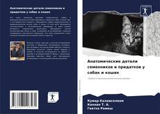 Buchcover von Анатомические детали семенников и придатков у собак и кошек