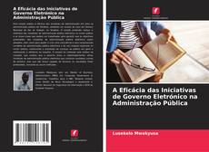 Copertina di A Eficácia das Iniciativas de Governo Eletrónico na Administração Pública