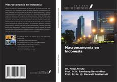 Capa do livro de Macroeconomía en Indonesia 
