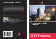 Macroeconomia in Indonesia kitap kapağı