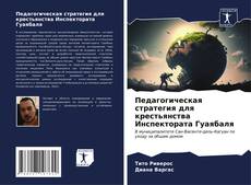 Buchcover von Педагогическая стратегия для крестьянства Инспектората Гуаябаля