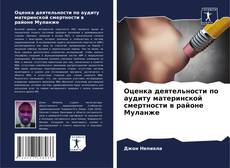 Buchcover von Оценка деятельности по аудиту материнской смертности в районе Муланже