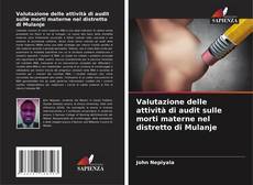 Portada del libro de Valutazione delle attività di audit sulle morti materne nel distretto di Mulanje