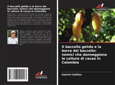 Bookcover of Il baccello gelido e la borra del baccello: nemici che danneggiano le colture di cacao in Colombia