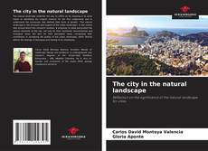 The city in the natural landscape kitap kapağı