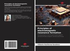 Buchcover von Principles of electromagnetic resonance formation