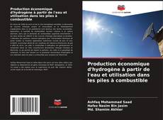 Обложка Production économique d'hydrogène à partir de l'eau et utilisation dans les piles à combustible