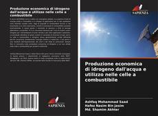 Capa do livro de Produzione economica di idrogeno dall'acqua e utilizzo nelle celle a combustibile 