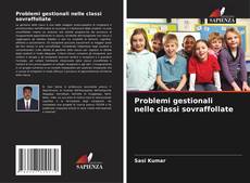 Bookcover of Problemi gestionali nelle classi sovraffollate