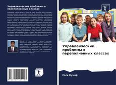 Bookcover of Управленческие проблемы в переполненных классах