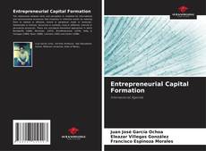 Bookcover of Entrepreneurial Capital Formation
