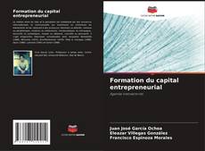 Capa do livro de Formation du capital entrepreneurial 