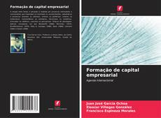 Buchcover von Formação de capital empresarial