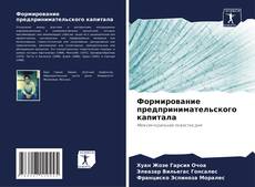 Capa do livro de Формирование предпринимательского капитала 