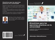 Bookcover of Directrices para los ejercicios prácticos en la universidad