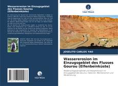 Portada del libro de Wassererosion im Einzugsgebiet des Flusses Gourou (Elfenbeinküste)
