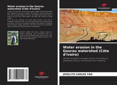 Bookcover of Water erosion in the Gourou watershed (Côte d'Ivoire)