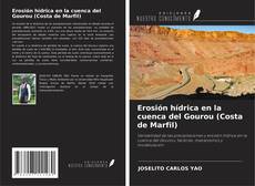 Bookcover of Erosión hídrica en la cuenca del Gourou (Costa de Marfil)