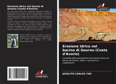 Capa do livro de Erosione idrica nel bacino di Gourou (Costa d'Avorio) 