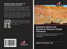 Erosione idrica nel bacino di Gourou (Costa d'Avorio) kitap kapağı