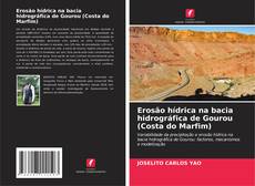 Bookcover of Erosão hídrica na bacia hidrográfica de Gourou (Costa do Marfim)