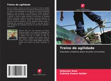Bookcover of Treino de agilidade