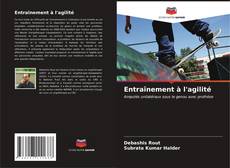 Bookcover of Entraînement à l'agilité