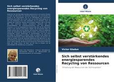 Buchcover von Sich selbst verstärkendes energiesparendes Recycling von Ressourcen