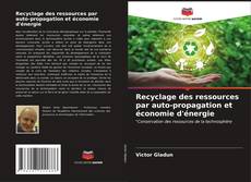 Обложка Recyclage des ressources par auto-propagation et économie d'énergie