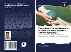 Bookcover of Раскрытие силы биоугля: использование черного золота природы