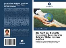 Capa do livro de Die Kraft der Biokohle freisetzen: Das schwarze Gold der Natur nutzbar machen 