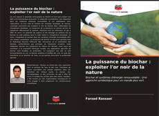 Обложка La puissance du biochar : exploiter l'or noir de la nature