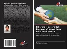 Portada del libro de Liberare il potere del biochar: sfruttare l'oro nero della natura