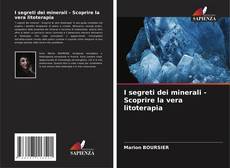 Buchcover von I segreti dei minerali - Scoprire la vera litoterapia