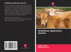Buchcover von Urolitíase obstrutiva bovina