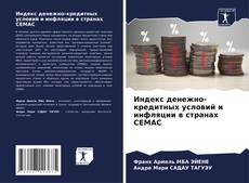 Bookcover of Индекс денежно-кредитных условий и инфляции в странах CEMAC
