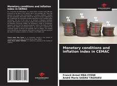 Monetary conditions and inflation index in CEMAC kitap kapağı