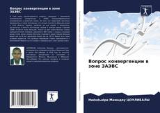 Buchcover von Вопрос конвергенции в зоне ЗАЭВС