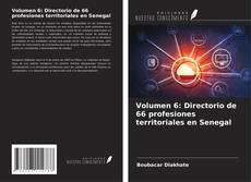 Buchcover von Volumen 6: Directorio de 66 profesiones territoriales en Senegal