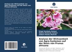 Copertina di Analyse der Wirksamkeit von Agro-Systemen auf der Basis von Prunus africana