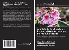 Bookcover of Análisis de la eficacia de los agrosistemas basados en Prunus africana