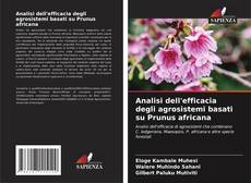 Bookcover of Analisi dell'efficacia degli agrosistemi basati su Prunus africana