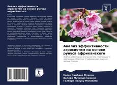 Bookcover of Анализ эффективности агросистем на основе рунуса африканского