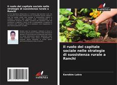 Capa do livro de Il ruolo del capitale sociale nelle strategie di sussistenza rurale a Ranchi 