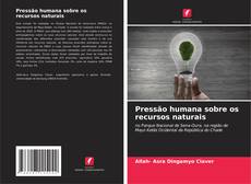 Buchcover von Pressão humana sobre os recursos naturais