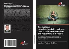 Bookcover of Esecuzione penale/risocializzazione: uno studio comparativo tra Argentina e Brasile