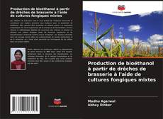 Copertina di Production de bioéthanol à partir de drêches de brasserie à l'aide de cultures fongiques mixtes