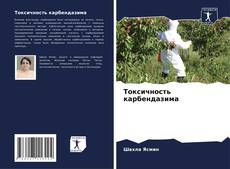 Bookcover of Токсичность карбендазима